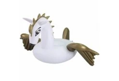 Comfortpool Pegasus